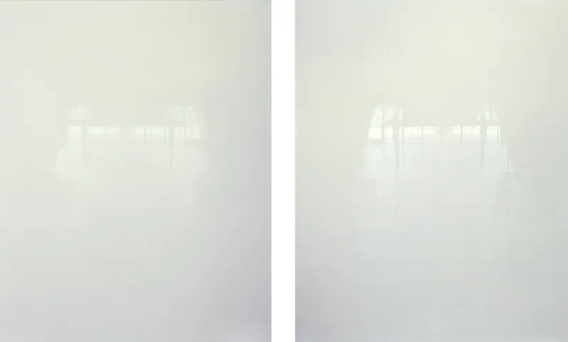 abstract color photograph titled Transfer, 50 x 40 inches, in 2 panels.