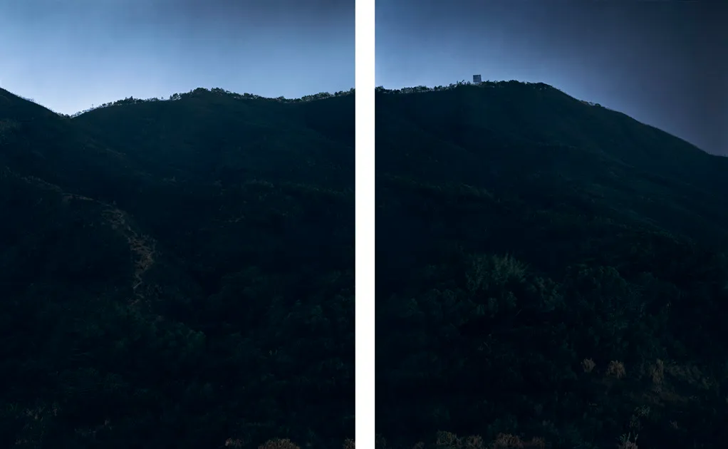 abstract color photograph titled Fringe, 59.4 x 47.2 inches, in 2 panels.