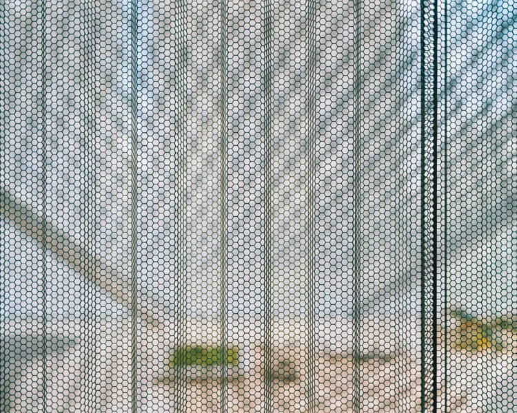 abstract color photograph titled Frame, 47.2 x 59.1 inches.