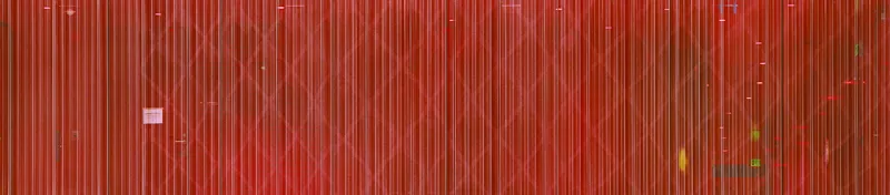 abstract color photograph titled Section, 26.0 x 118.1 inches.